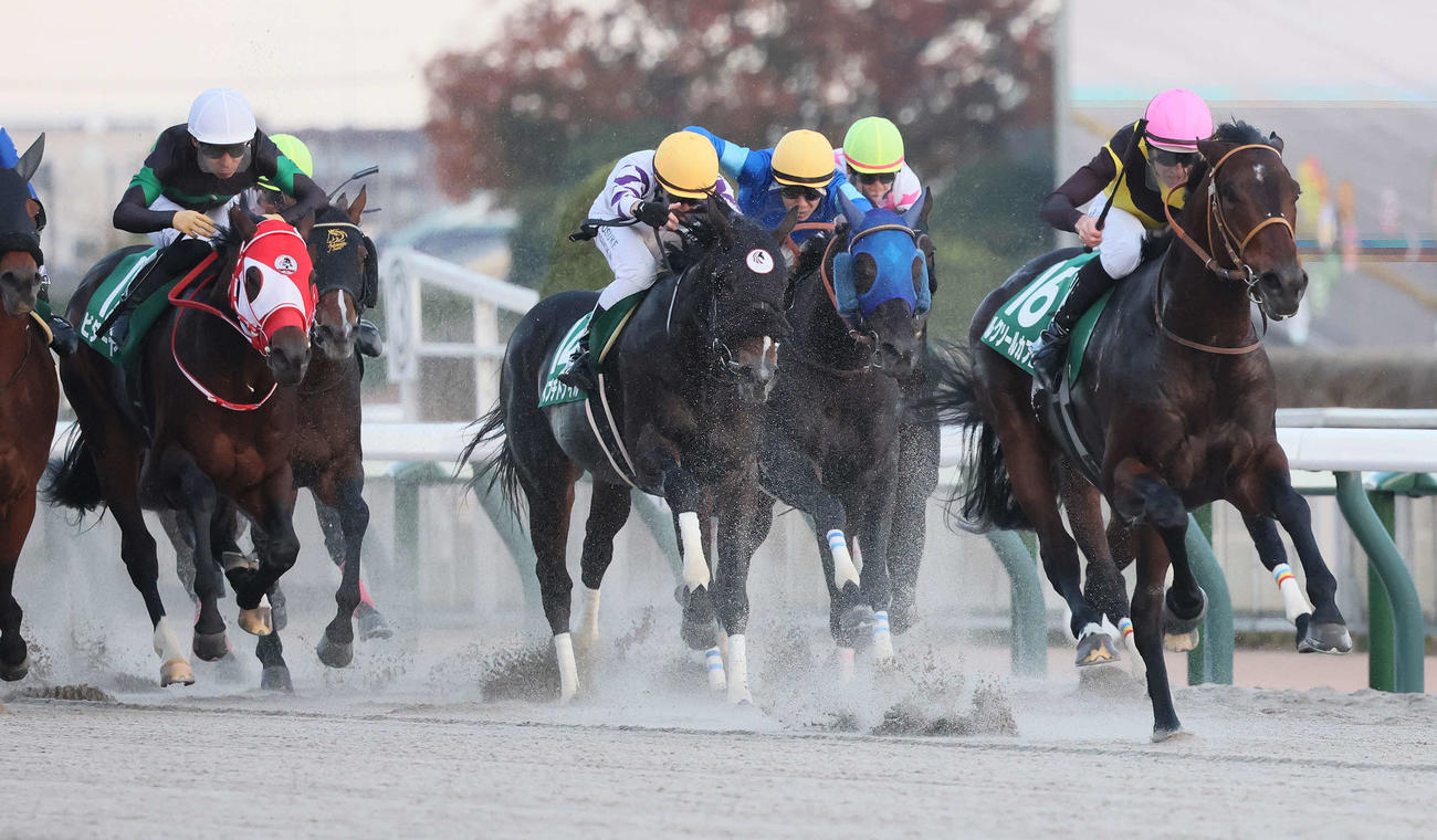 ルクソールカフェが制した武蔵野S（撮影・丹羽敏通）