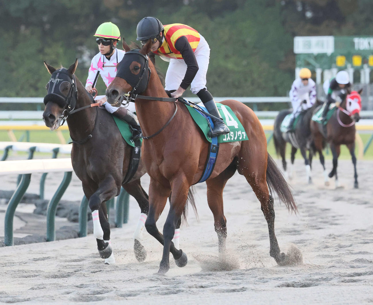 武蔵野Sで出遅れて2着に敗れたコスタノヴァとルメール騎手（撮影・丹羽敏通）