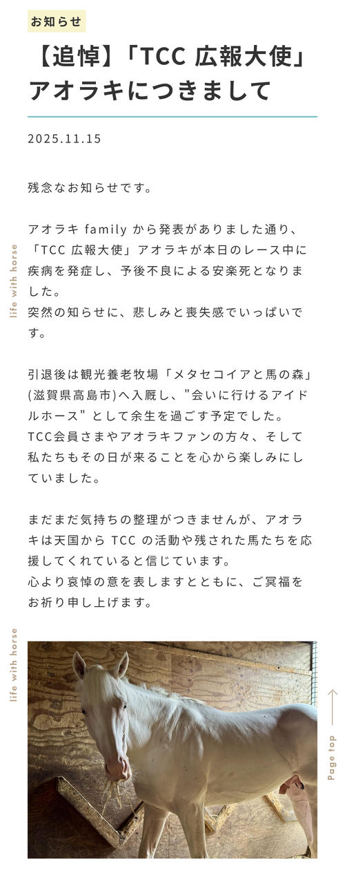 安楽死のアオラキを追悼「突然の知らせに悲しみと喪失感でいっぱいです