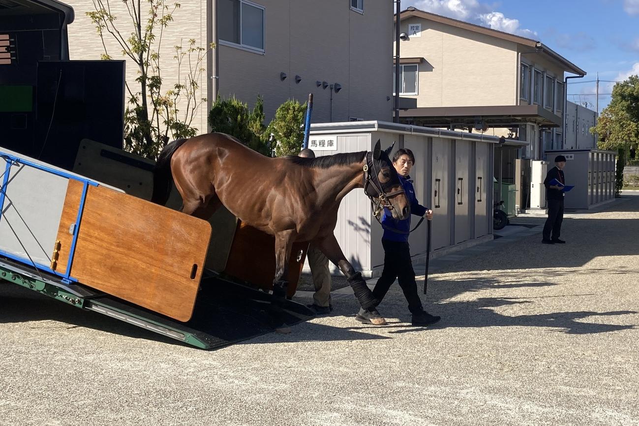 京都競馬場へ到着したレガレイラ（撮影・太田尚樹）
