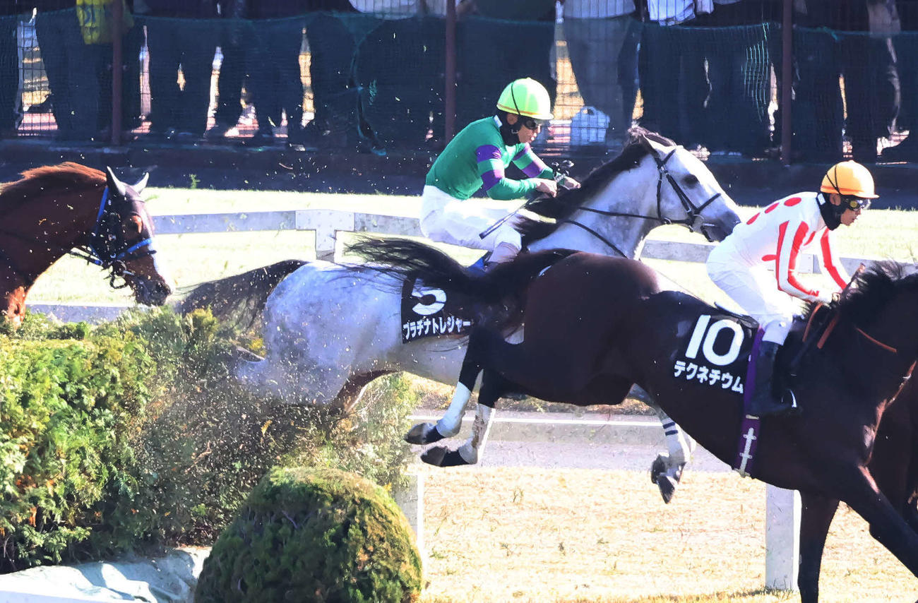 秋陽JSを制したプラチナトレジャーと伴騎手（撮影・丹羽敏通）