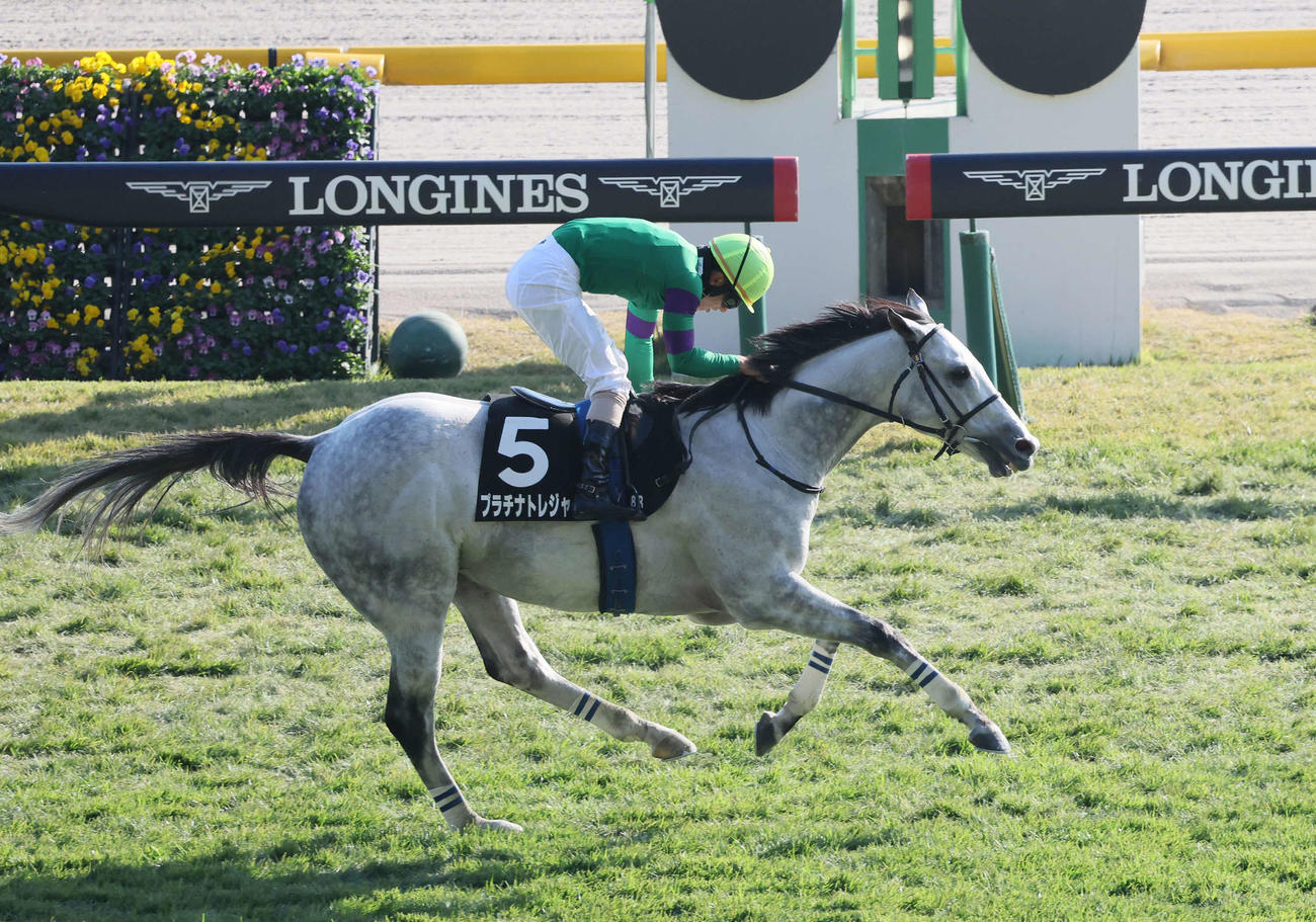 秋陽JSを制したプラチナトレジャーと伴騎手（撮影・丹羽敏通）