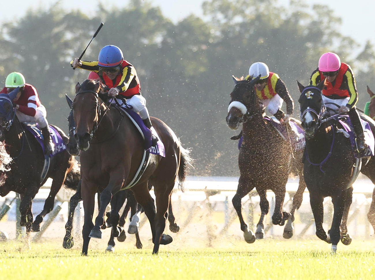エリザベス女王杯10着に敗れたステレンボッシュ（右から2頭目）（撮影・白石智彦）