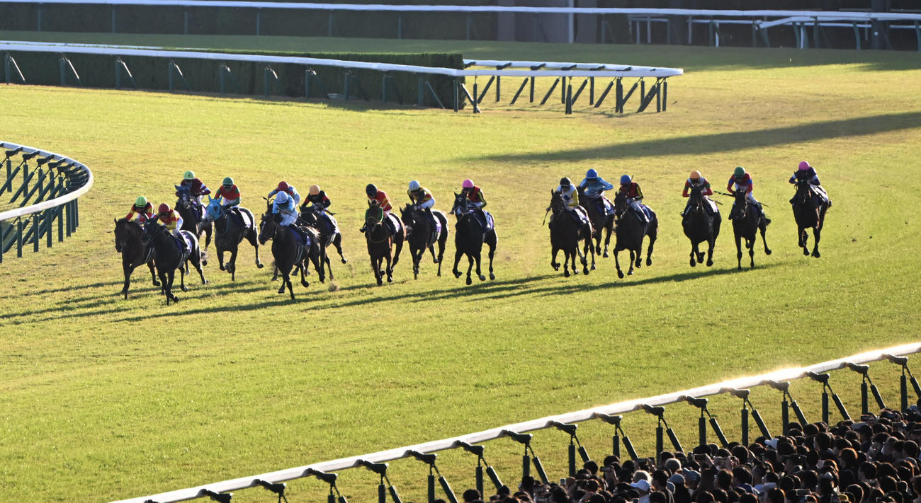 エリザベス女王杯16着のオーロラエックス（右端）（撮影・和賀正仁）