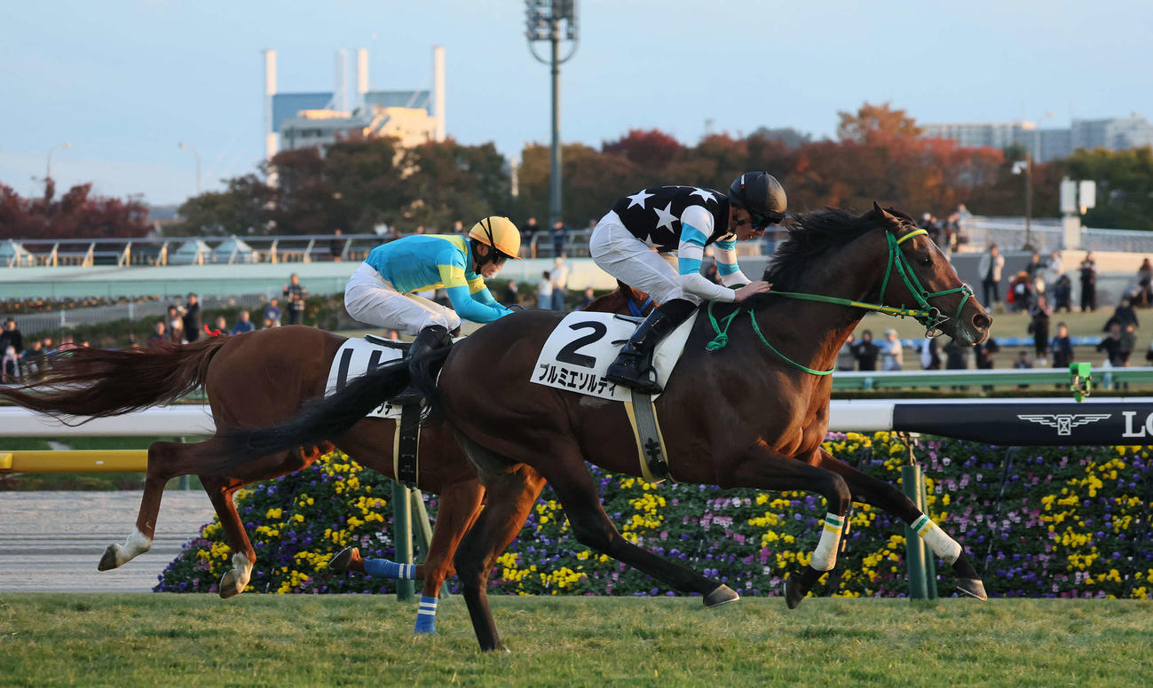 東京12R、3歳上1勝クラスを制したプルミエソルティとマーカンド騎手（撮影・丹羽敏通）