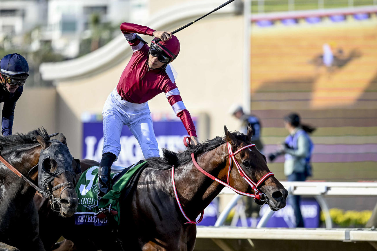 BCクラシックを制しムチを振り上げ喜びを表現する坂井騎手ⓒCarlos J. Calo／Eclipse Sportswire／Breeders Cup