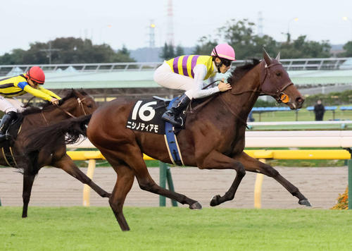 のど手術から復帰後3連勝中ニシノティアモ「充実してきたと思います