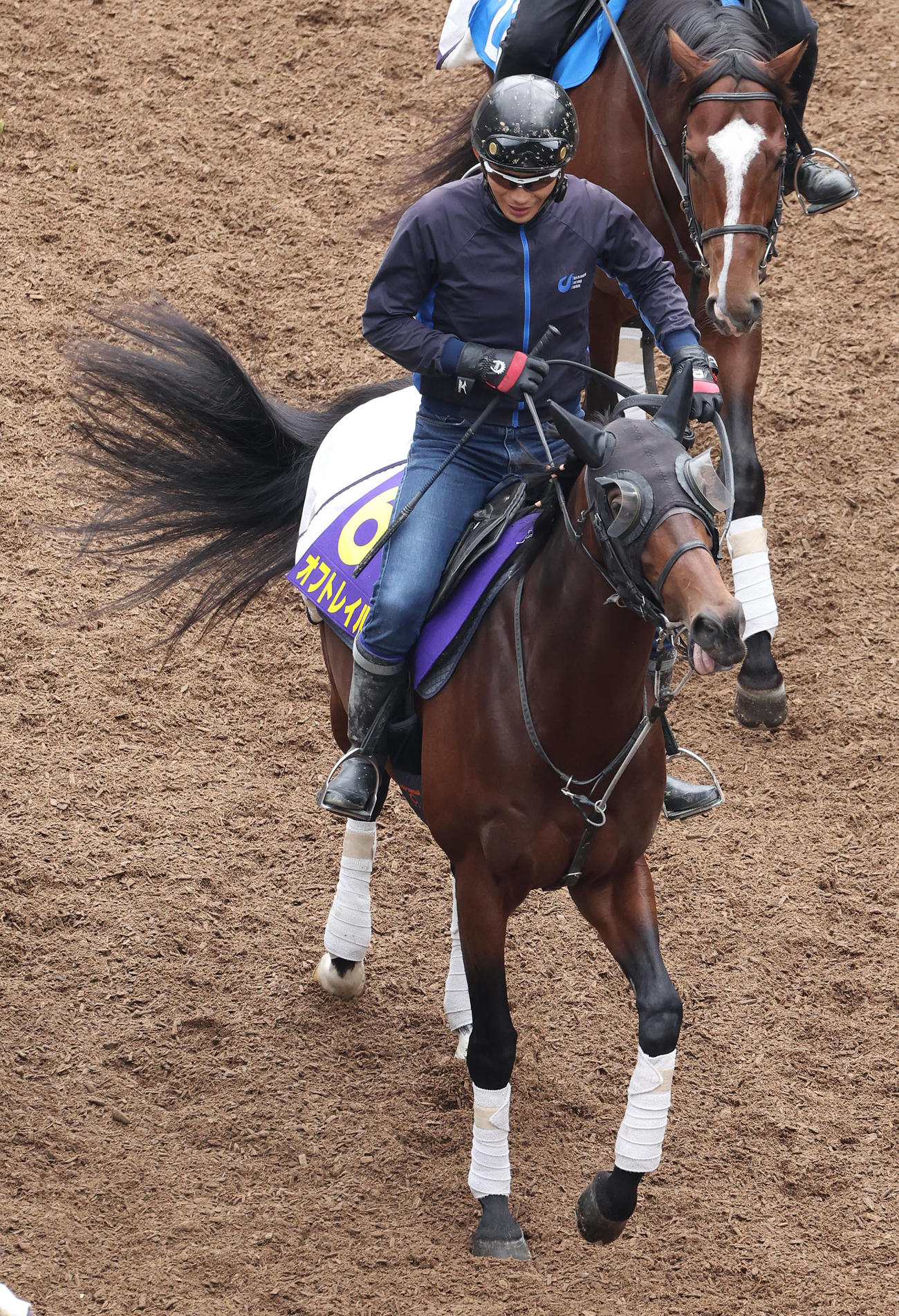 逍遙馬道で運動するオフトレイル（撮影・白石智彦）
