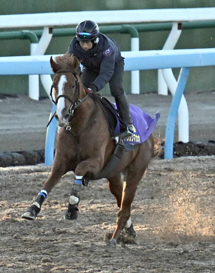 美浦ウッドを単走で追い切るトウシンマカオ（撮影・千葉一成）