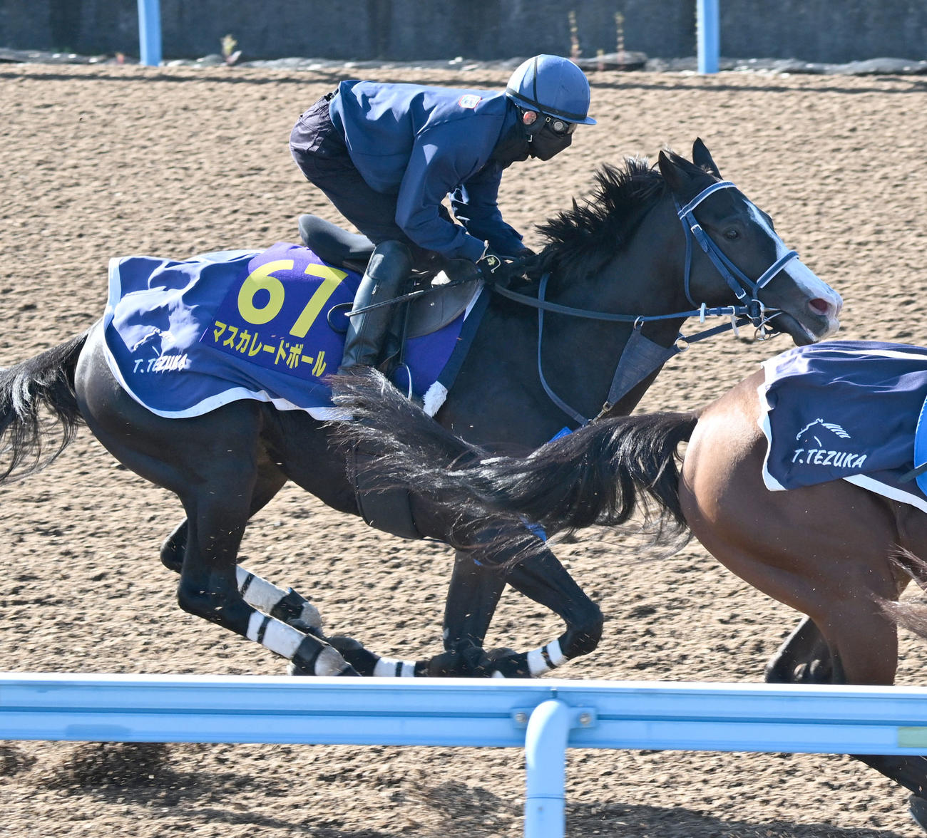 美浦ウッドを3頭併せで追い切るマスカレードボール（撮影・千葉一成）