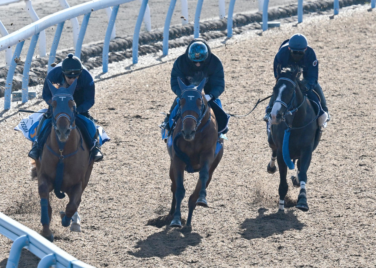 美浦ウッドを3頭併せで追い切るマスカレードボール（右）（撮影・千葉一成）