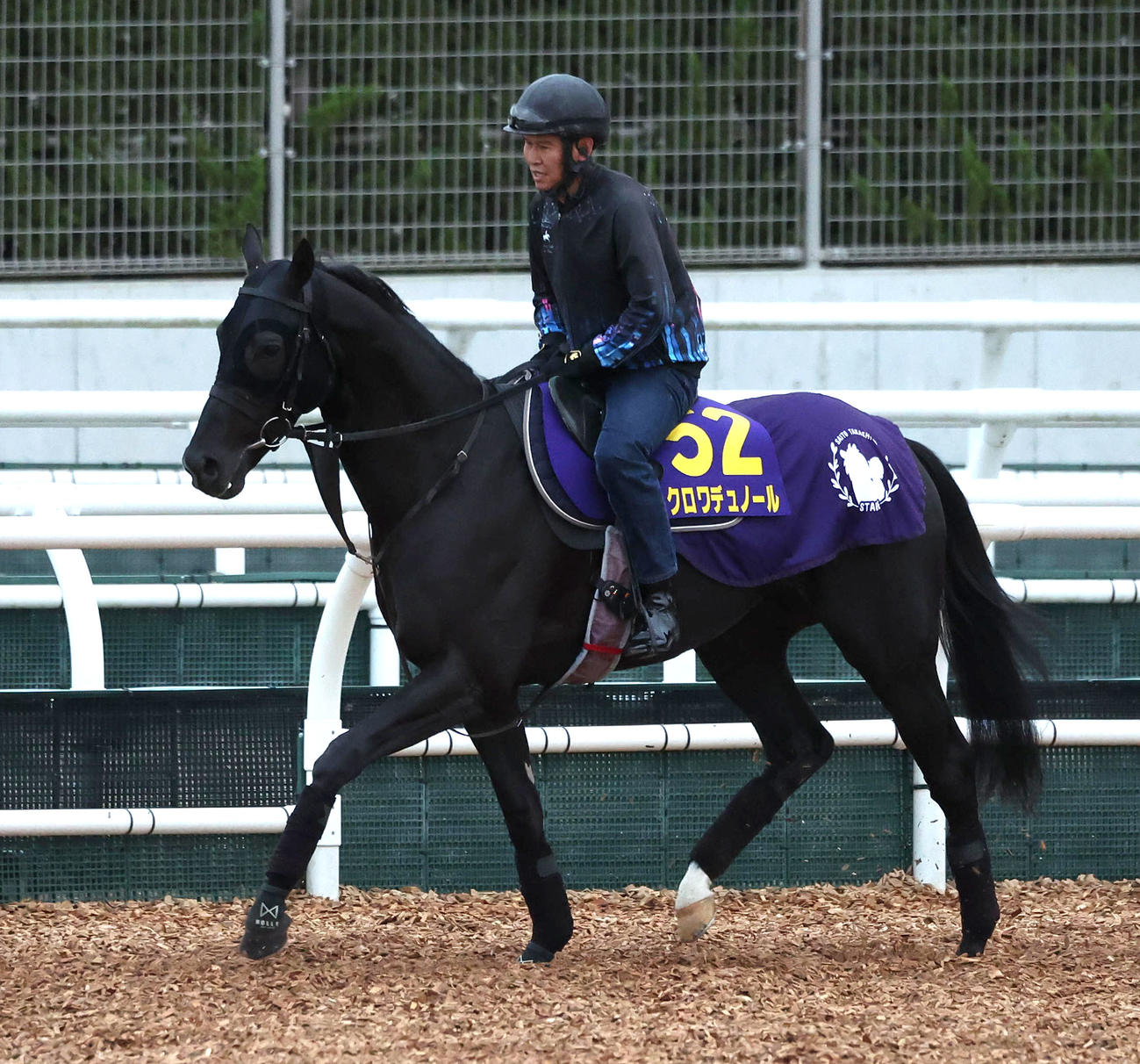 角馬場で運動するクロワデュノール（撮影・白石智彦）