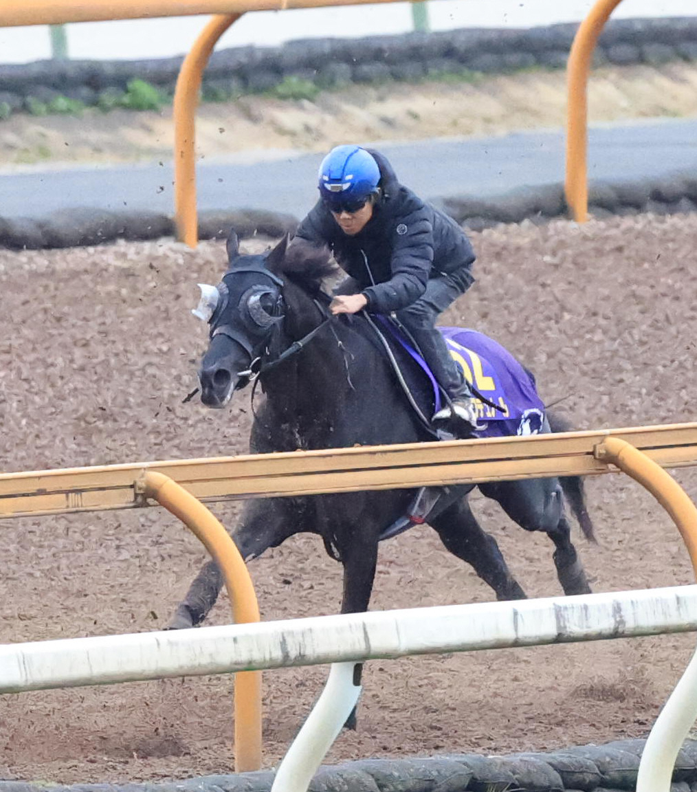 Cウッドコースにて追いきるクロワデュノール