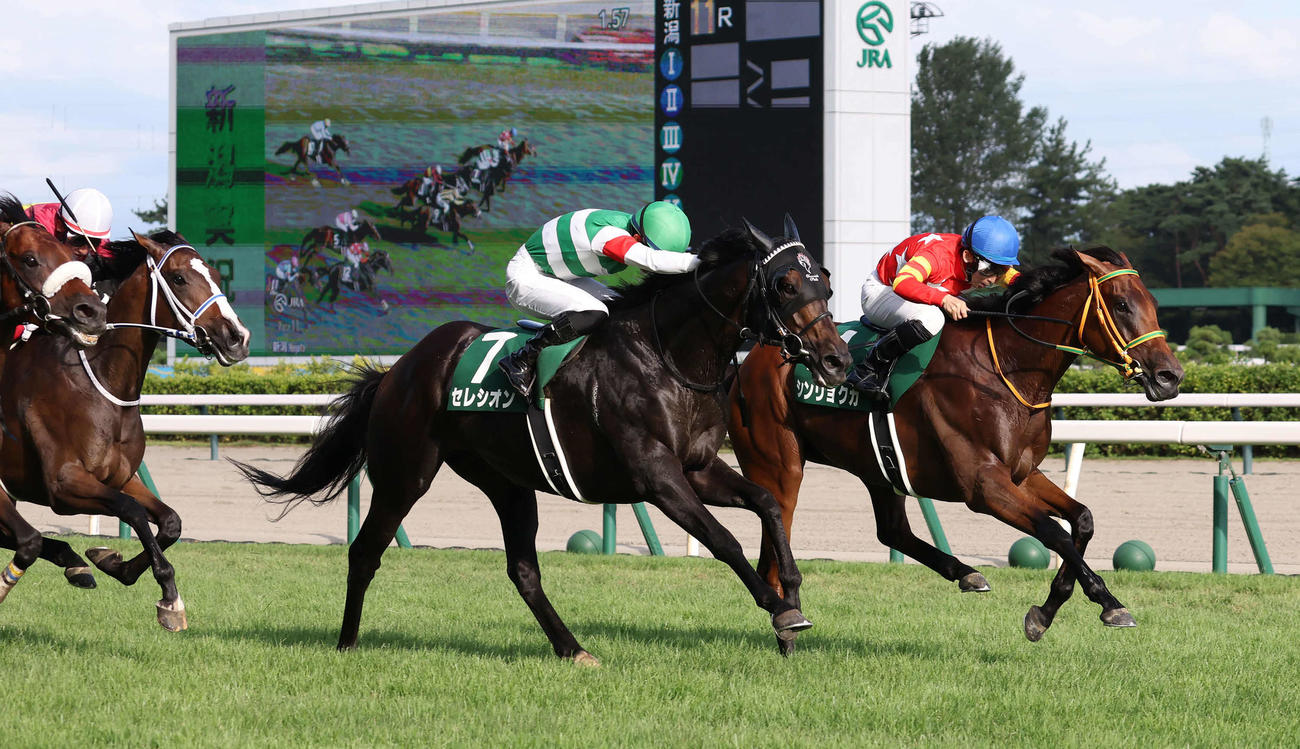 24年9月、新潟記念を制したシンリョクカと木幡初也騎手（右端）