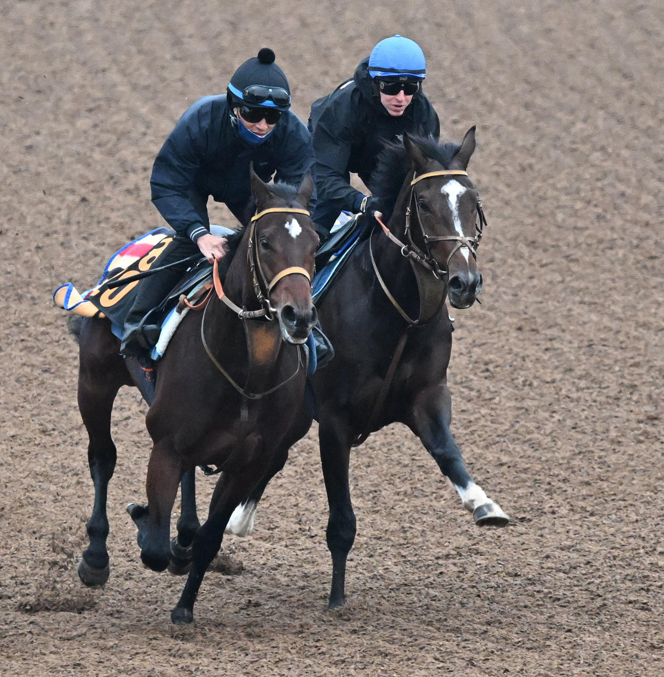 20日、美浦ウッドを2頭併せで追い切るダノンヒストリーとレーン騎手（右）