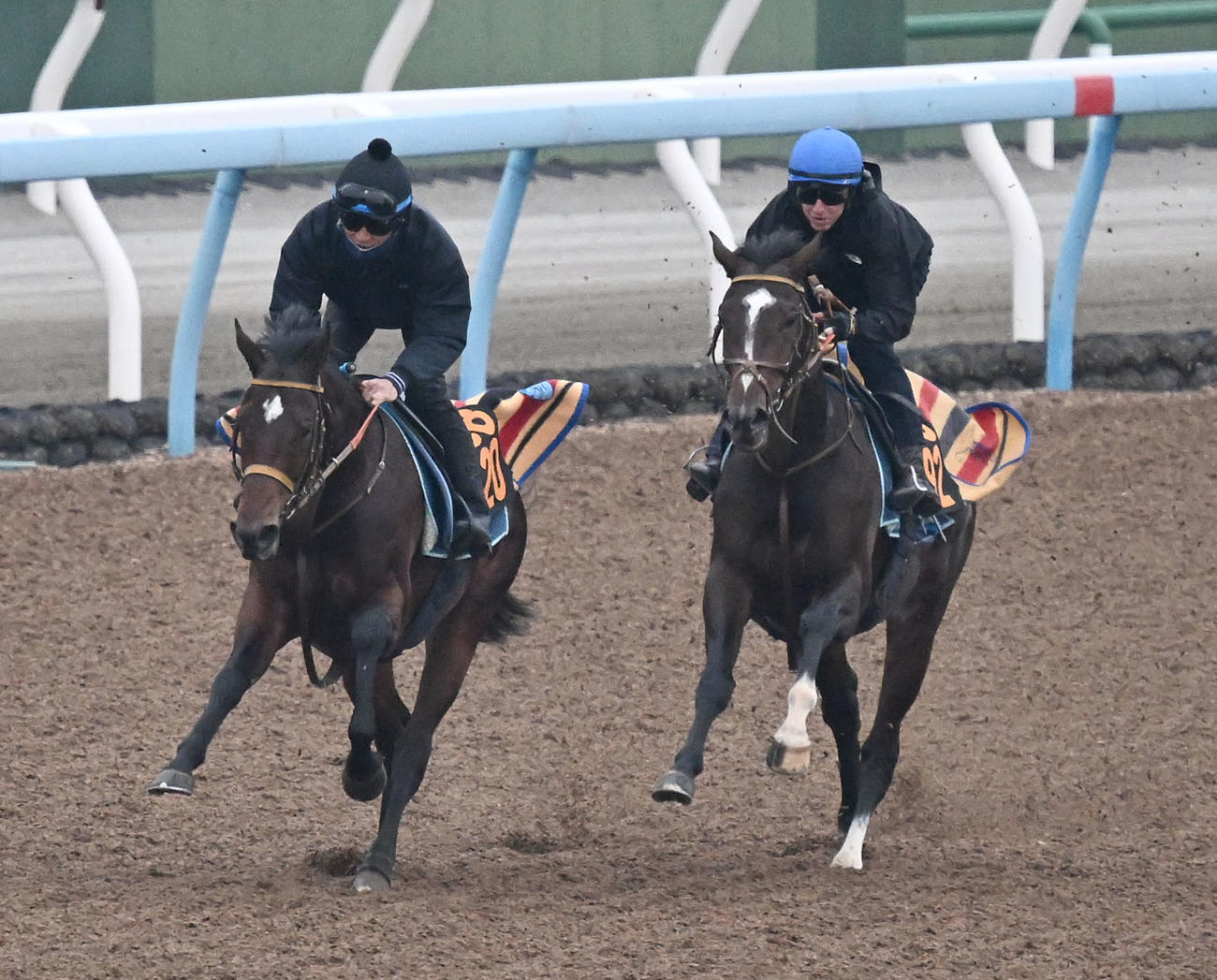 20日、美浦ウッドを2頭併せで追い切るダノンヒストリーとレーン騎手（右）