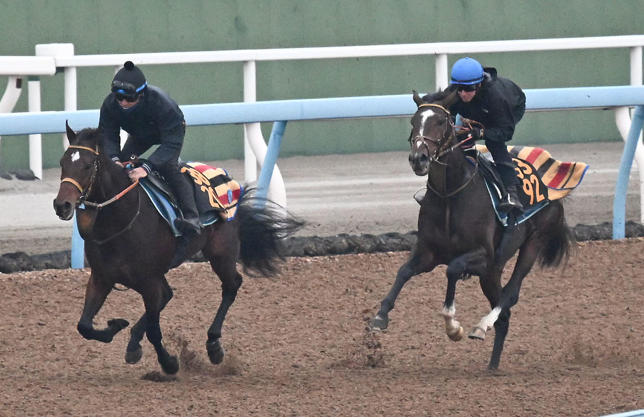 20日、美浦ウッドを2頭併せで追い切るダノンヒストリーとレーン騎手（右）