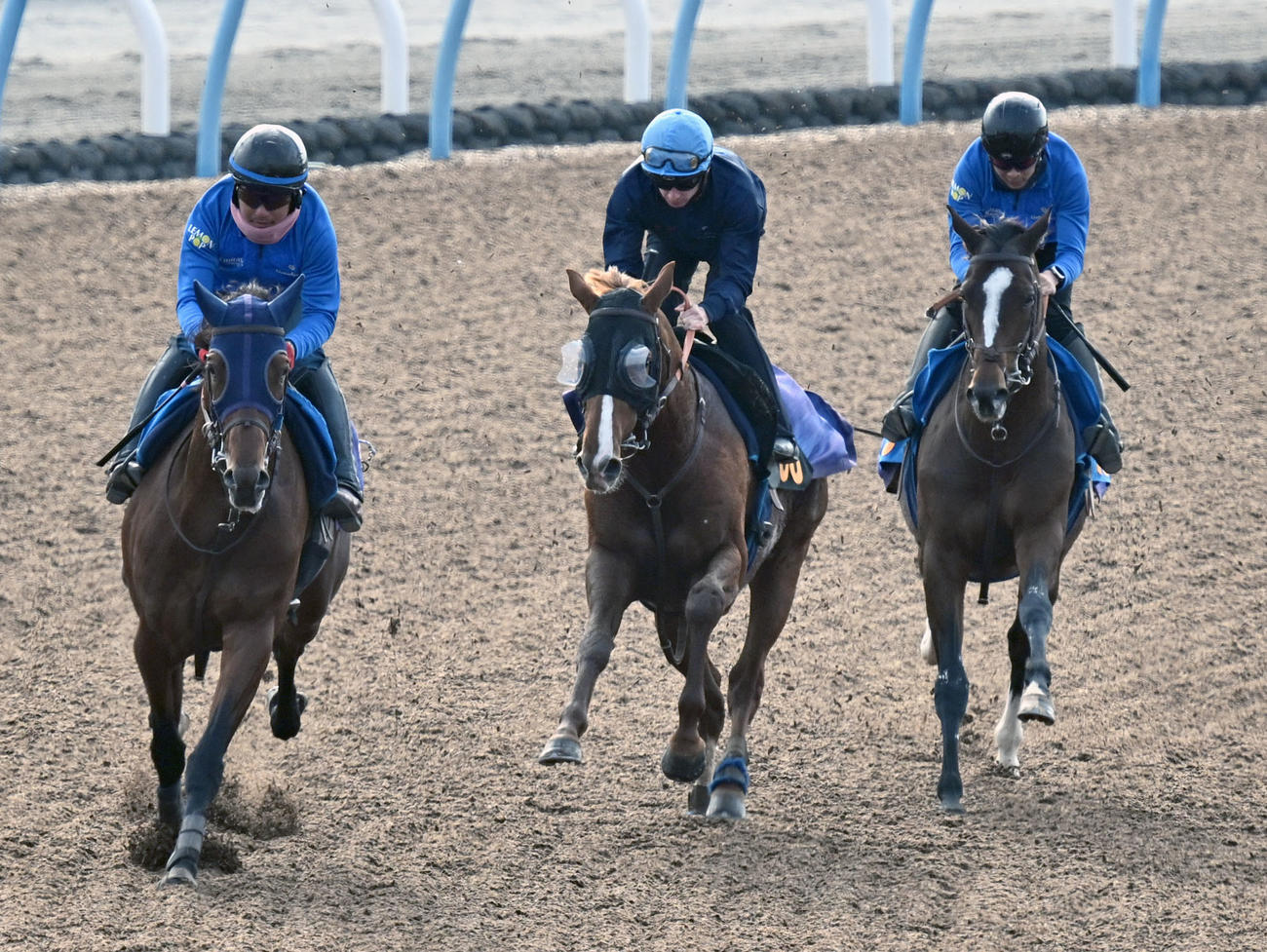 20日、美浦ウッドを3頭併せで追い切るサレジオ（中央）