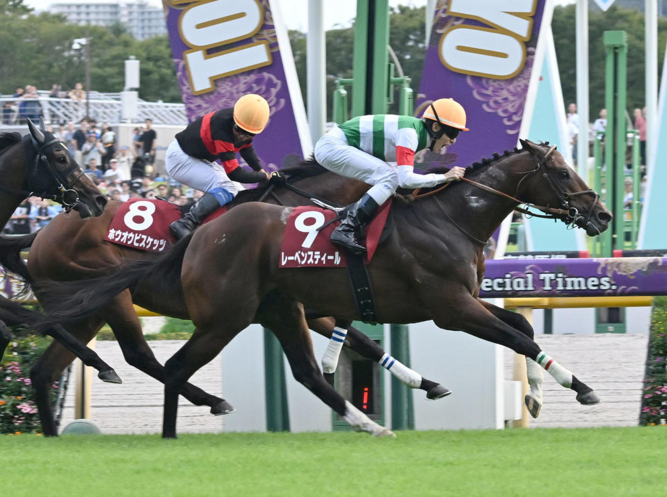 毎日王冠を制したレーベンスティール