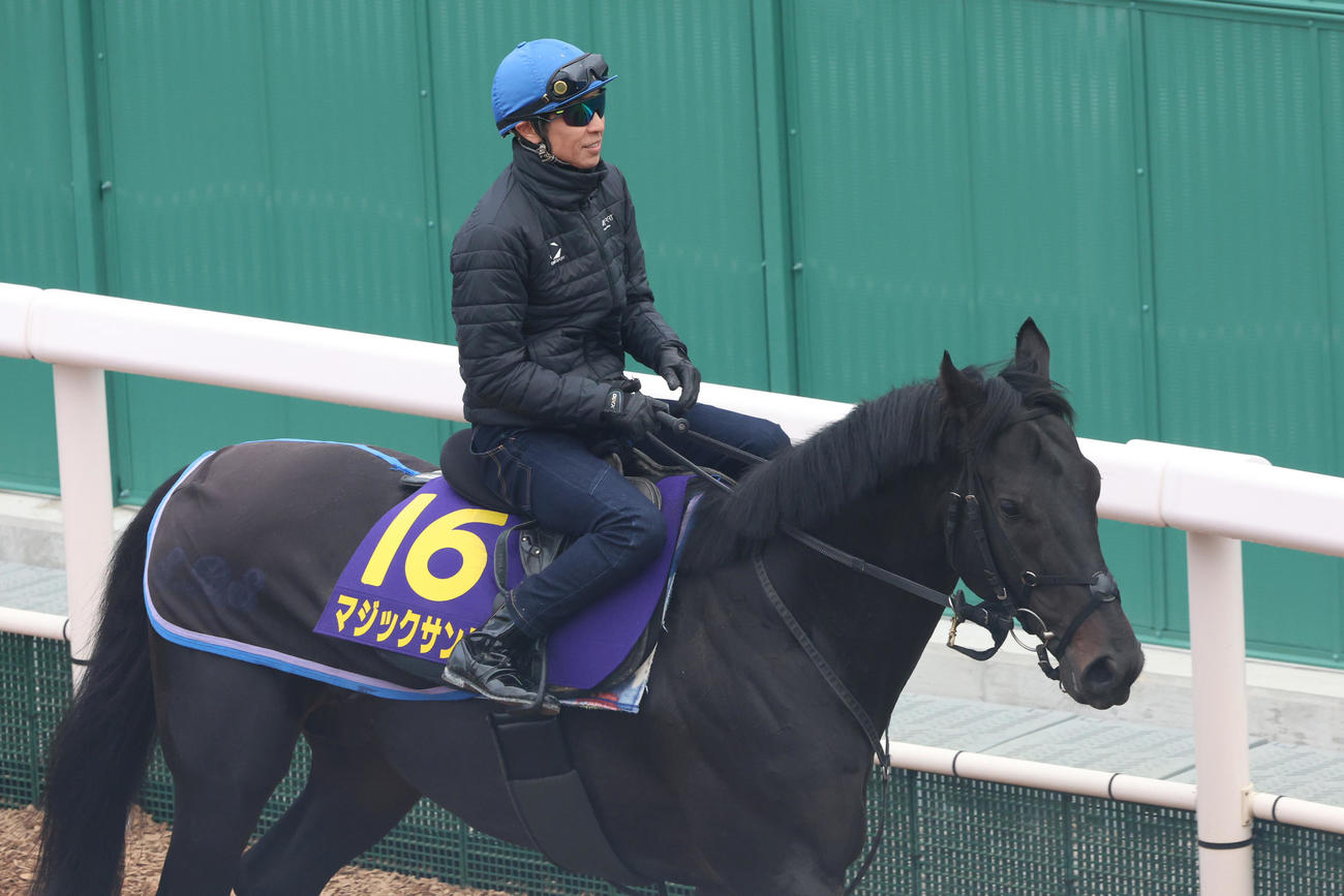 マジックサンズと武豊騎手（2025年11月19日撮影）
