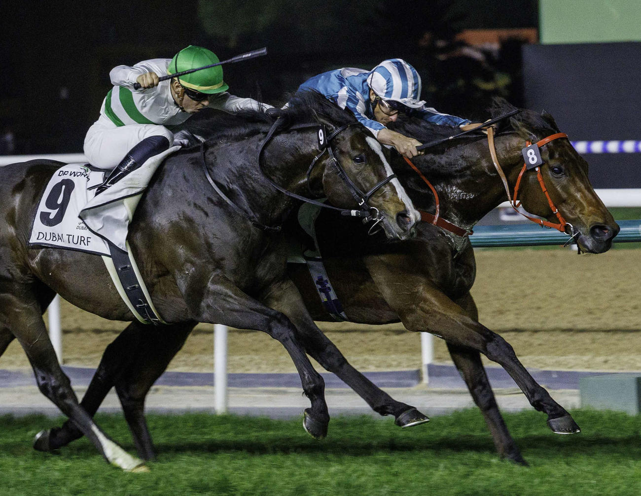 ドバイターフを制したソウルラッシュ（左）。右は2着ロマンチックウォリアー（C）Dubai Racing Club