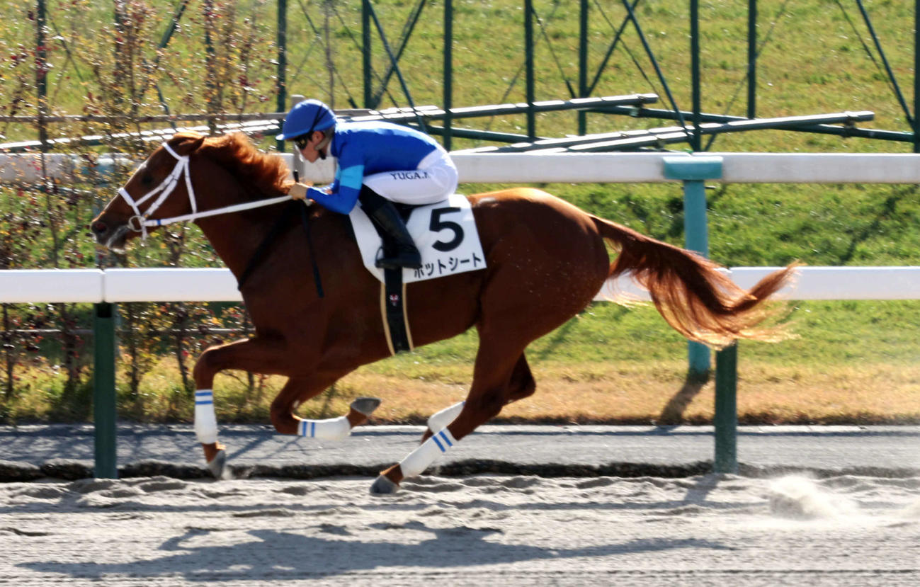 京都1R、2歳未勝利戦は川田騎手のホットシートが直線で後続を引き離し初勝利を挙げた。川田騎手は年間100勝を達成（撮影・西尾就之）