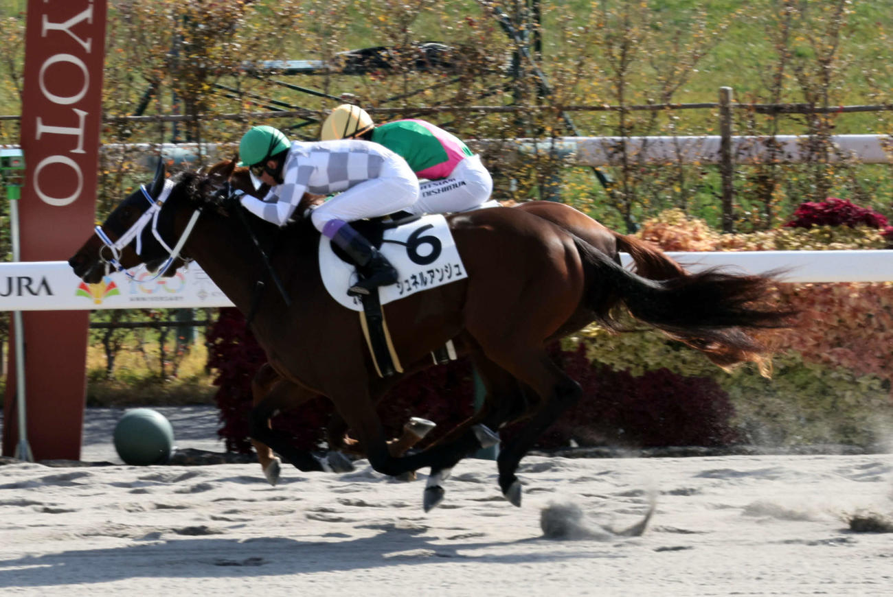 キズナ　勝負服ピンバッジ　武豊展　競馬　JRA ウマ娘 類稀なる才能で世代の頂点に。 キズナのさまざまな“絆” | キズナ | 優