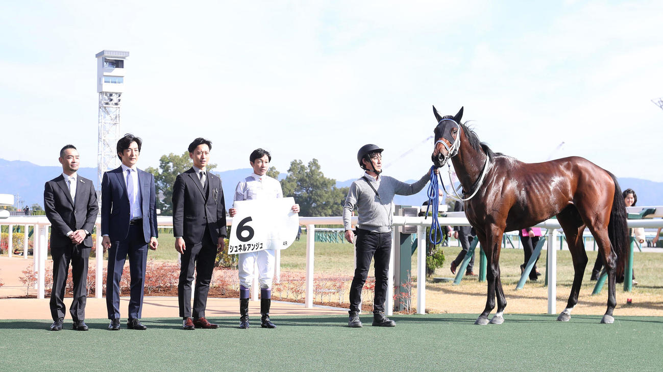 京都4R、新馬戦を制したシュネルアンジュと口取りに並ぶ武豊騎手（右から2人目）（撮影・白石智彦）