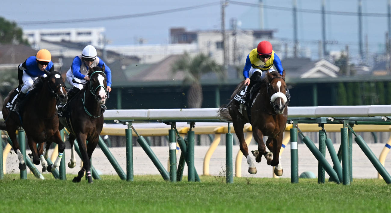 東京9R、赤松賞を制したヒズマスターピースと荻野極騎手（右）（撮影・千葉一成）