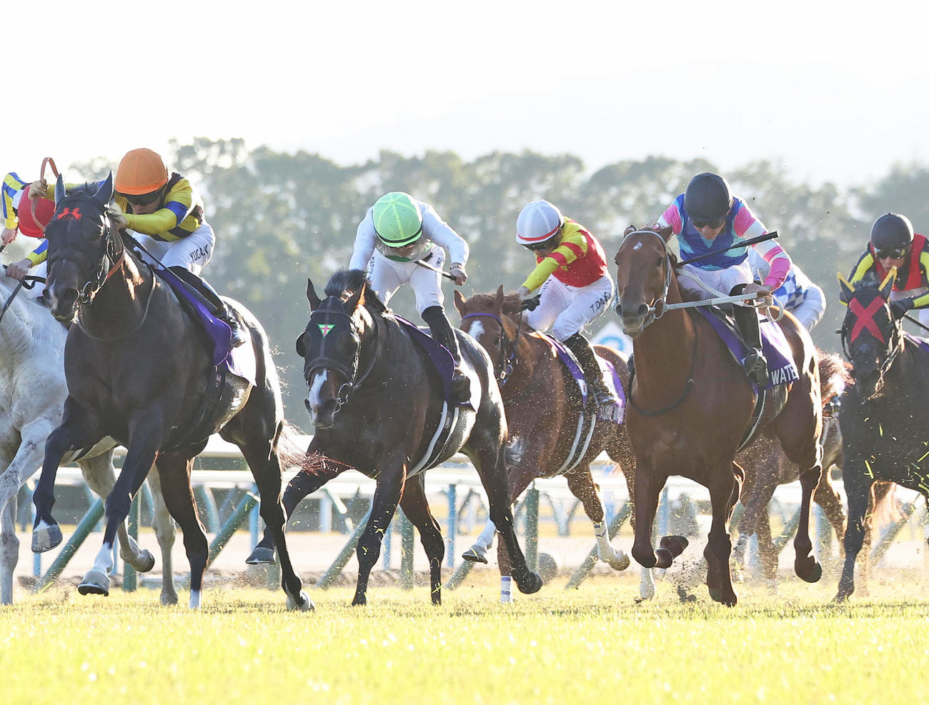 マイルCS3着に入ったウォーターリヒト（右から2頭目）。左は勝ったジャンタルマンタル