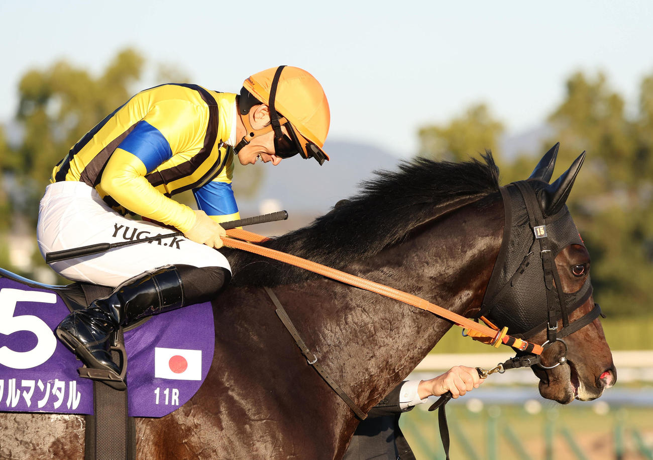 ジャンタルマンタルの首筋をなでてねぎらう川田騎手（撮影・白石智彦）
