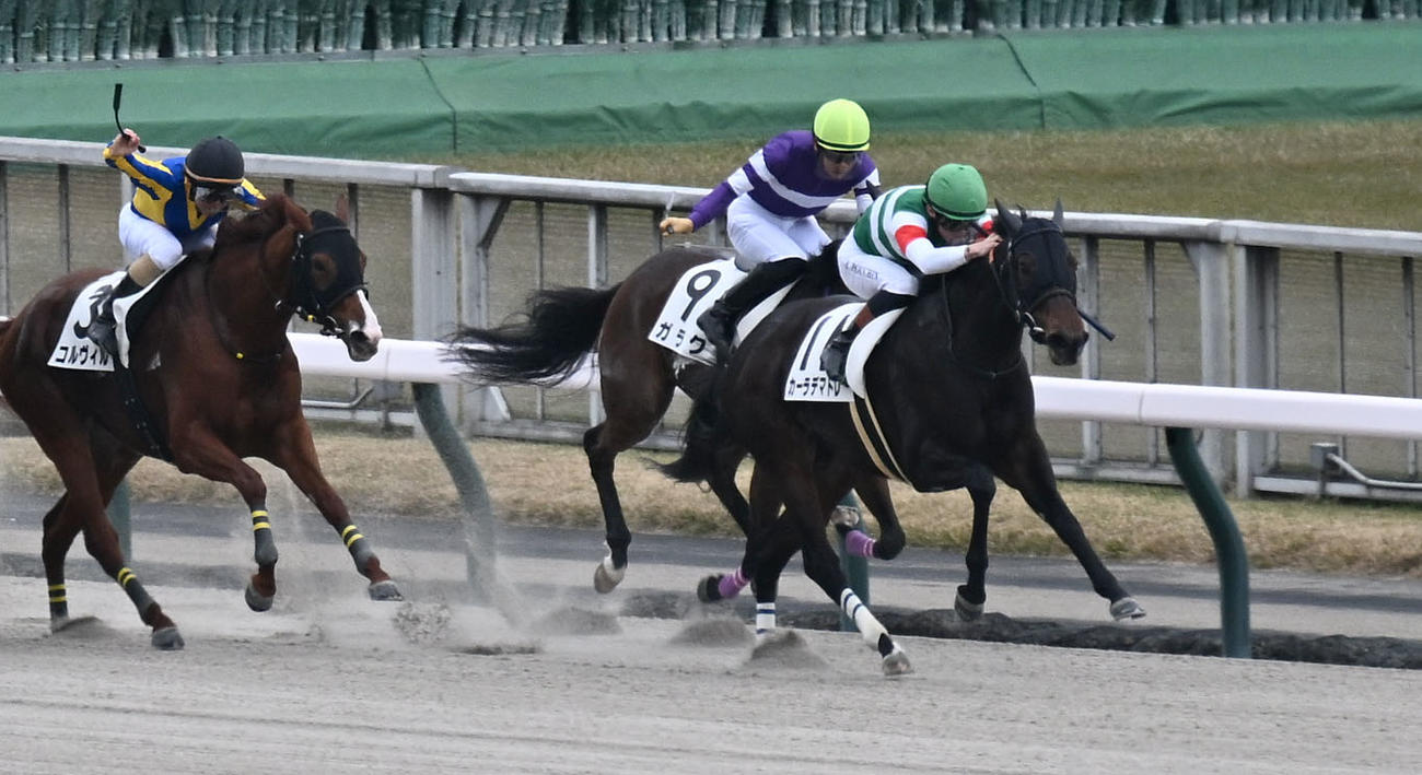 東京6R、3歳上牝馬限定の1勝クラスを制したカーラデマドレとプーシャン騎手（右）（撮影・千葉一成）