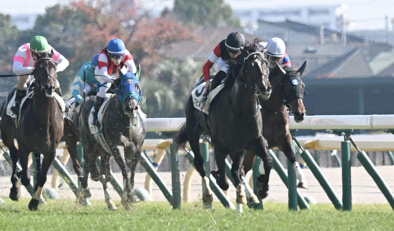 東京3R、2歳未勝利戦を制したエムズビギンとデムーロ騎手（右から2頭目）（撮影・千葉一成）