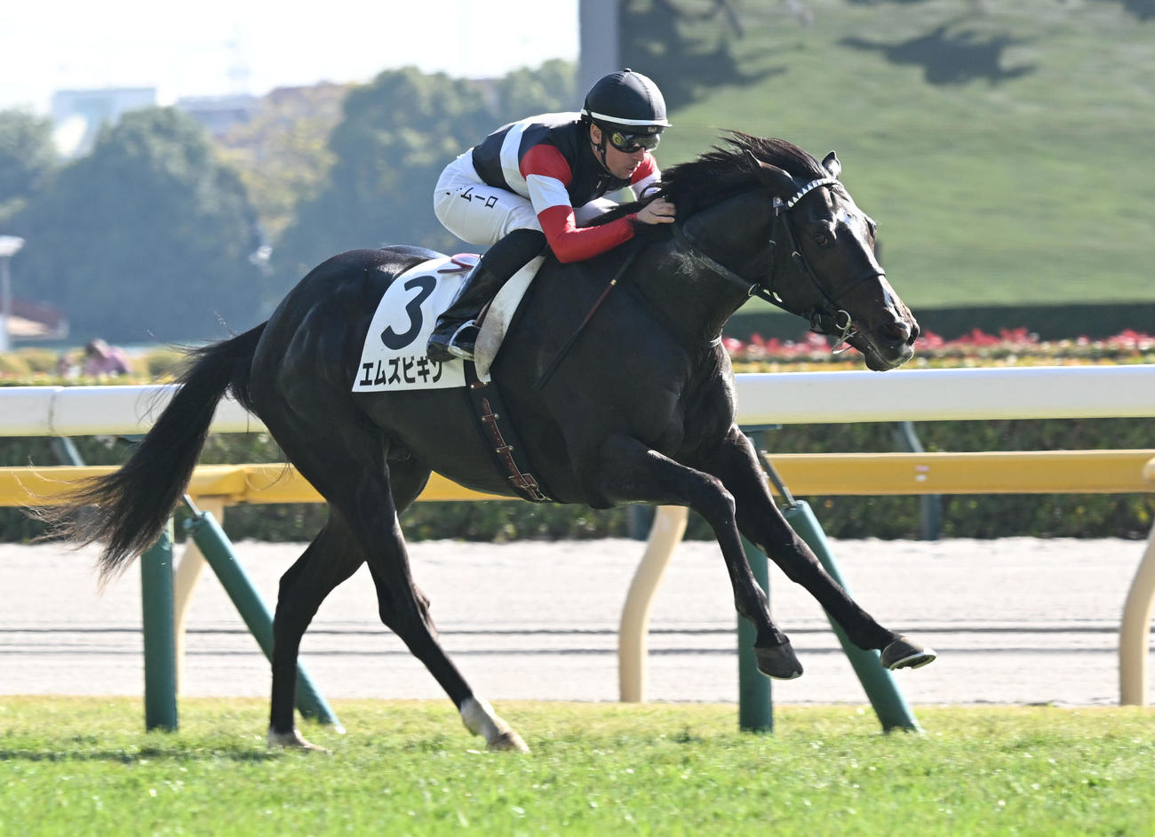 東京3R、2歳未勝利戦を制したエムズビギンとデムーロ騎手（撮影・千葉一成）