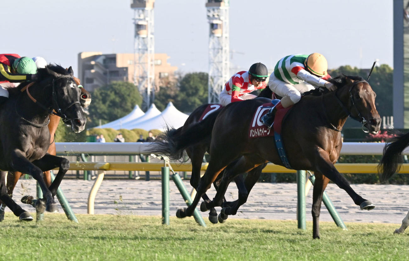 東スポ杯2歳Sを制したパントルナイーフとルメール騎手（撮影・千葉一成）
