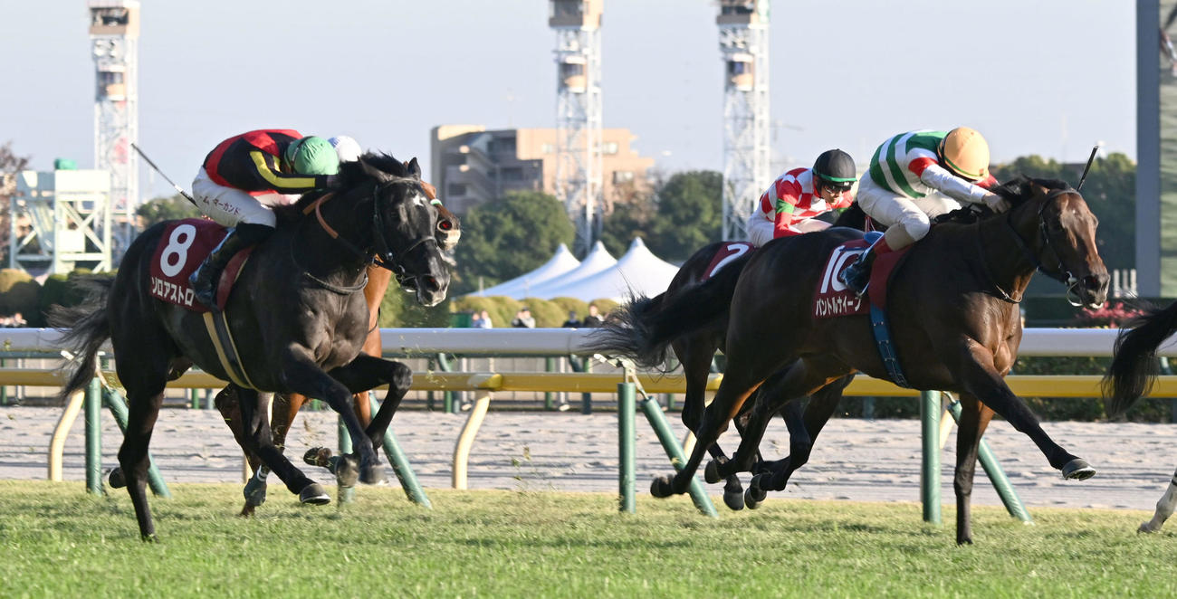 東スポ杯2歳Sを制したパントルナイーフとルメール騎手。左は2着のゾロアストロ（撮影・千葉一成）