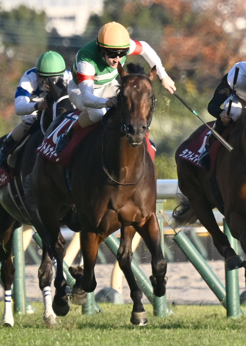 東京スポーツ杯2歳Sを制したパントルナイーフとルメール騎手（撮影・千葉一成）