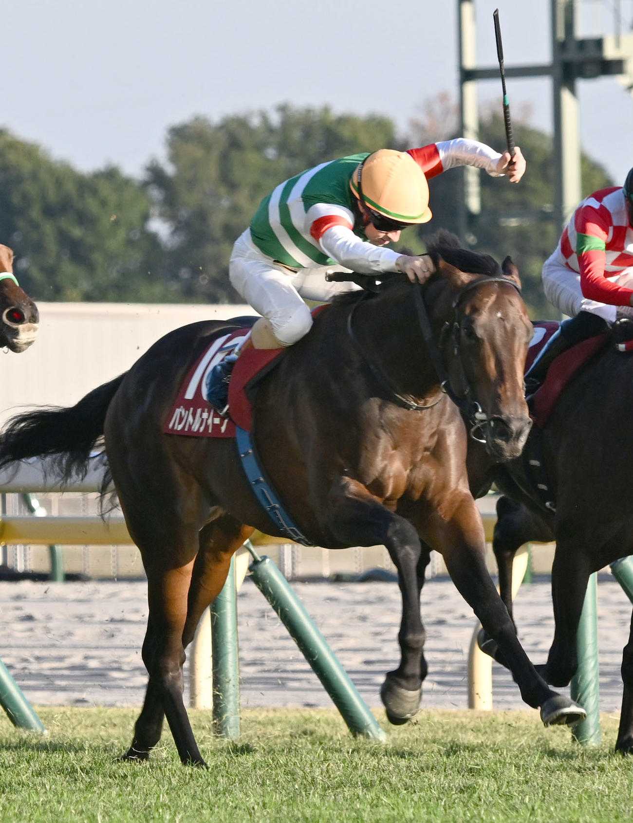 東京スポーツ杯2歳Sを制したパントルナイーフとルメール騎手（撮影・千葉一成）