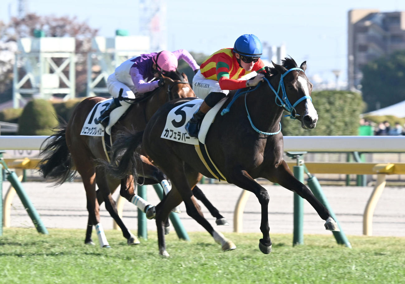 東京7R2歳新馬戦を制したカフェラバーとプーシャン騎手（右）（撮影・千葉一成）