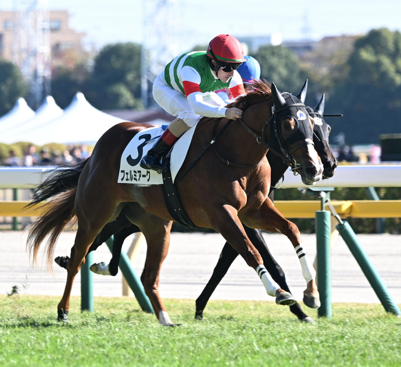 東京6R、2歳牝馬限定の新馬戦を制したフェルミアークとルメール騎手（撮影・千葉一成）
