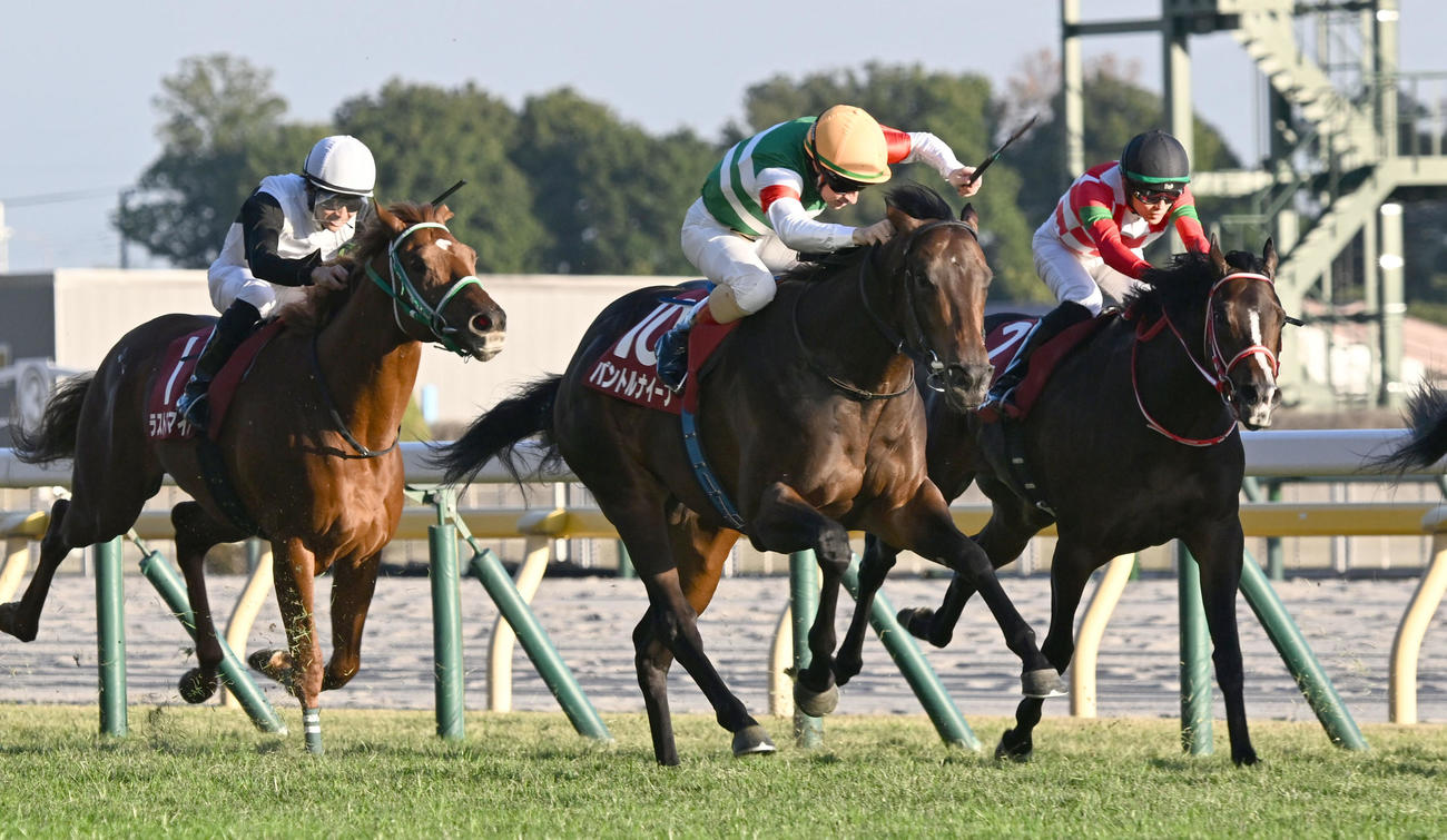 東京スポーツ杯2歳Sを制したパントルナイーフとルメール騎手（中央）（撮影・千葉一成）