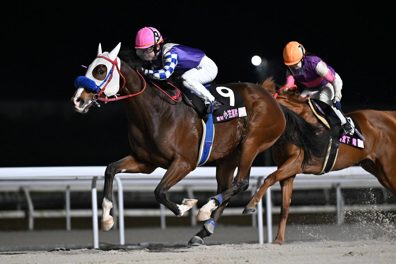 LJS名古屋ラウンド第2戦を制した小笠原羚騎手とミキノオーボエ（NAR提供）