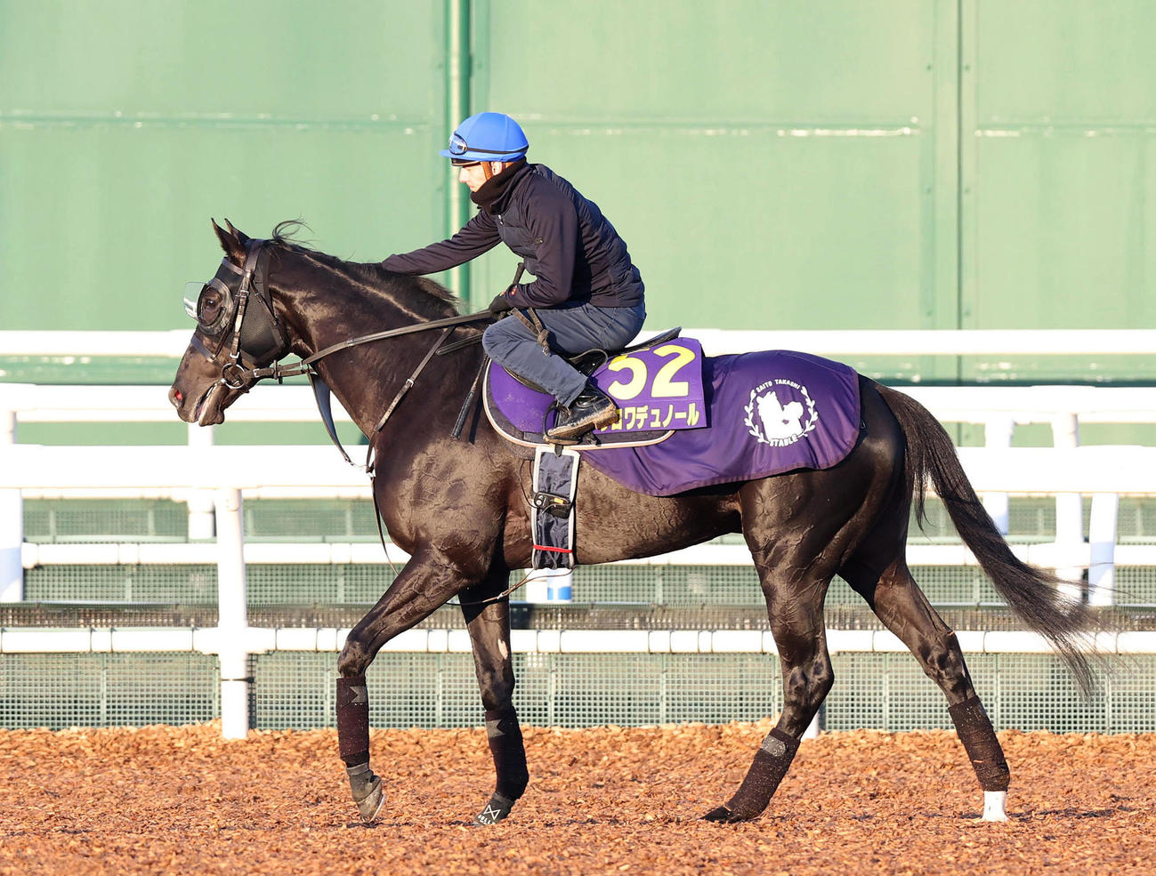 C・デムーロ騎手を背に角馬場で運動するクロワデュノール（撮影・白石智彦）