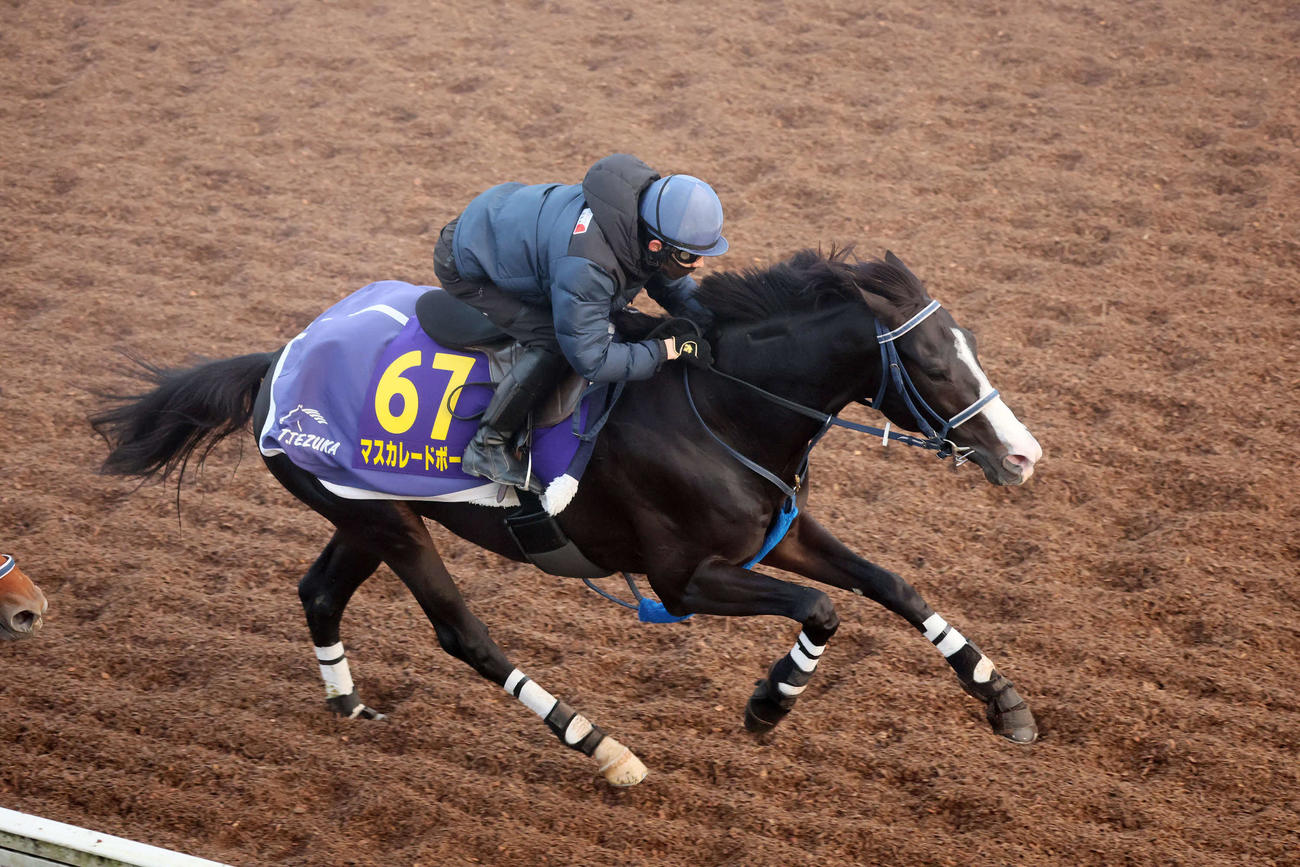 マスカレードボールは嶋田騎手を背に美浦坂路を力強いフットワークで駆け上がった（撮影・丹羽敏通）