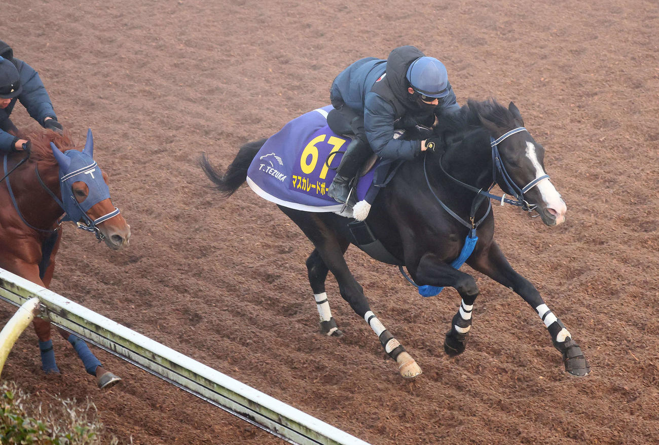 マスカレードボール（右）は嶋田騎手を背に霧のかかる美浦坂路で僚馬を突き放した（撮影・丹羽敏通）