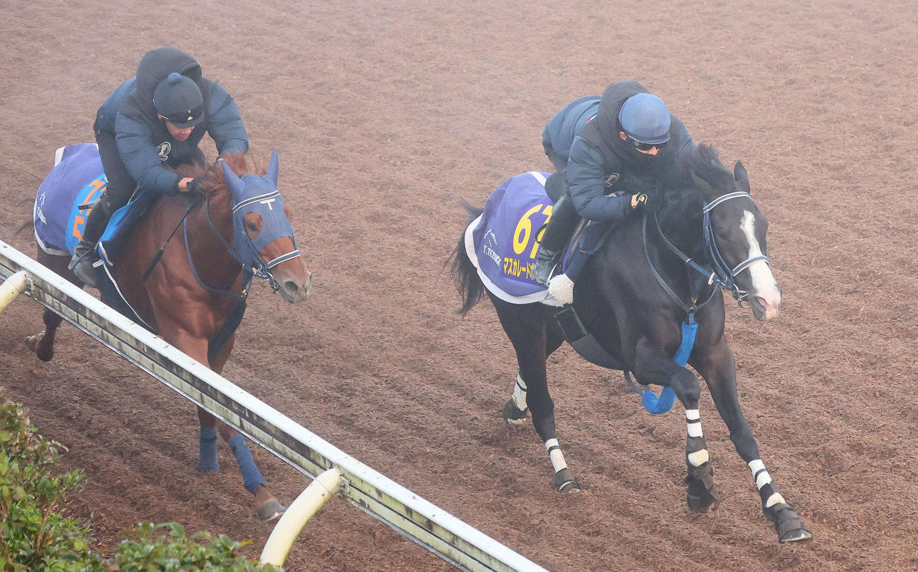 マスカレードボール（右）は嶋田騎手を背に霧のかかる美浦坂路で僚馬を突き放した（撮影・丹羽敏通）