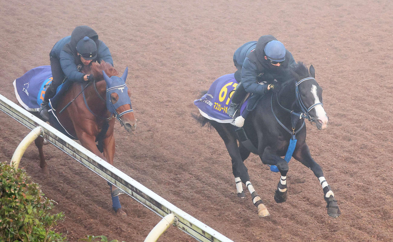 マスカレードボール（右）は嶋田騎手を背に霧のかかる美浦坂路で僚馬を突き放した（撮影・丹羽敏通）