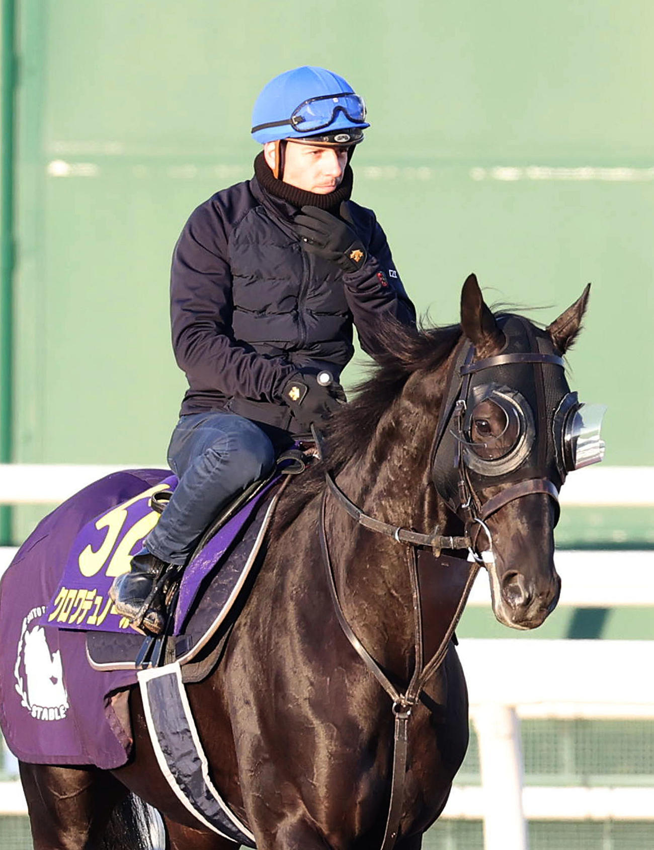 C・デムーロ騎手を背に角馬場で運動するクロワデュノール（撮影・白石智彦）