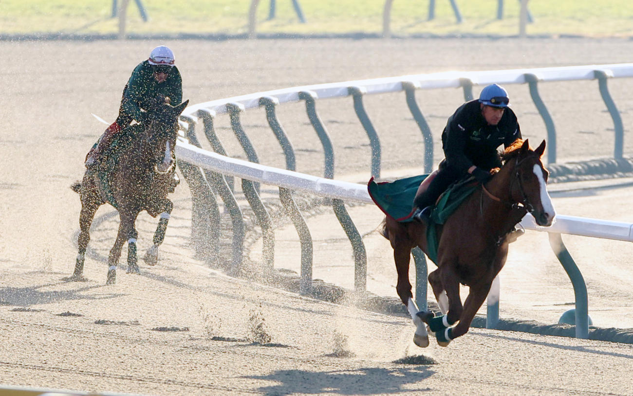 ダートコースで帯同馬ルノマドと調整するカランダガン（左）（撮影・柴田隆二）