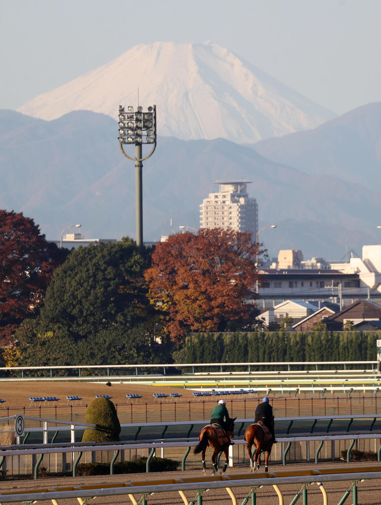 富士山を前にダートコースで帯同馬ルノマドと調整するカランダガン（左）（撮影・柴田隆二）